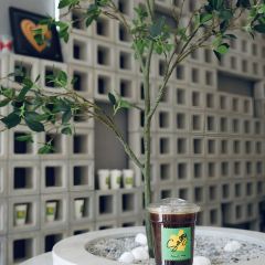 Salty Coffee User Photo