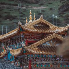 川主寺張用戶圖片