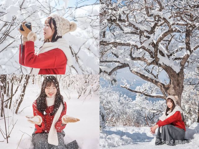아사리