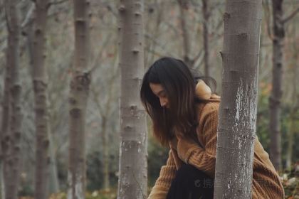 枫叶林(东方广场店)