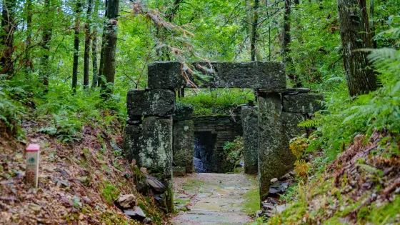 仙寓山風景區-櫸根關