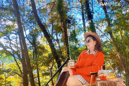 鸟鸣涧野生菌森林餐厅