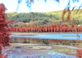 Sanjiacun Reservoir