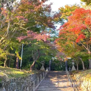 大原野神社