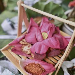 溪上花园餐厅 User Photo