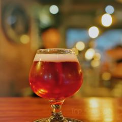 Pasteur Street Craft Beer-AU TRIEU TAPROOM & RESTAURANT User Photo