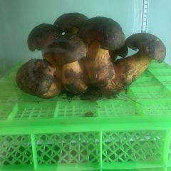 山菌美食苑(振兴路店) User Photo