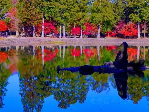 Motsuji Temple