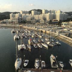 Marina Buffet User Photo