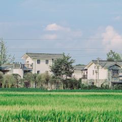 Fanpu Life User Photo