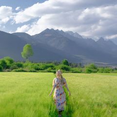 小岛家 User Photo