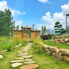 袁夫稻田火车餐厅 User Photo