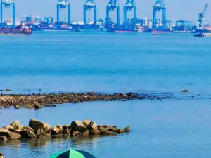 肯德基（英德太陽城店）