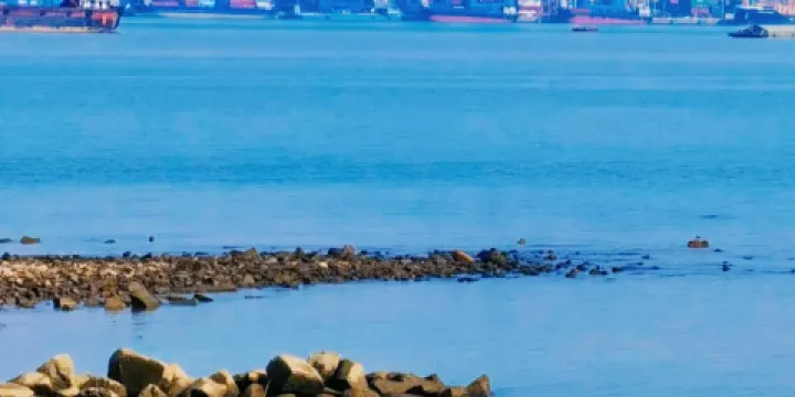 肯德基（英德太陽城店）