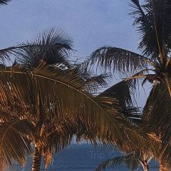 HORIZON地平线餐廳 User Photo