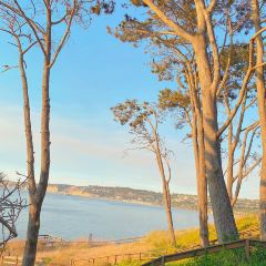 La Jolla User Photo