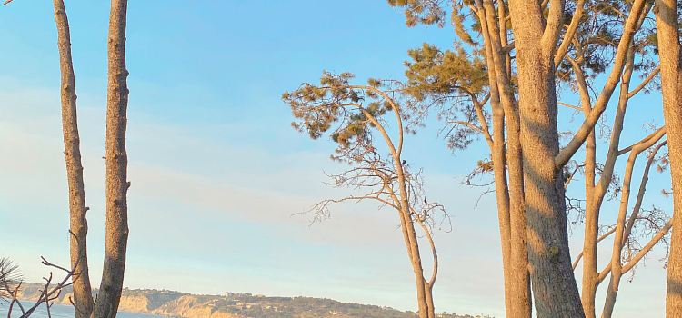 La Jolla