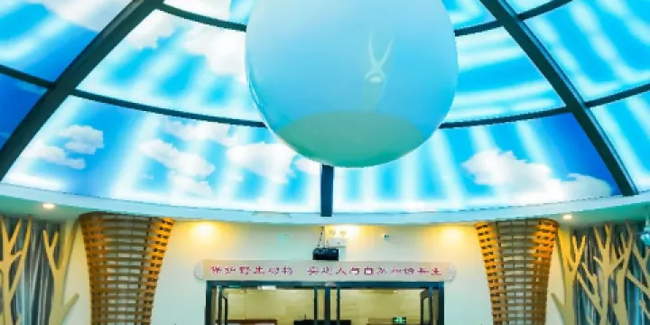 新疆北鯢生態園