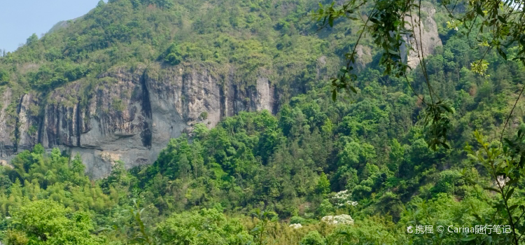 楠溪江岭下滩林烧烤基地