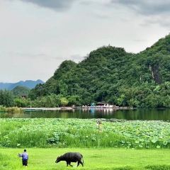 溪上花园餐厅 User Photo