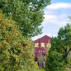 武夷山观蓝舒苑空间·餐厅 User Photo