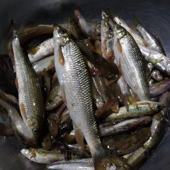 湖乡苗家乐 User Photo
