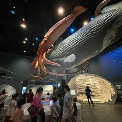 安吉自然博物院自然体验餐厅 User Photo