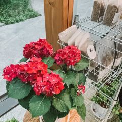 First Date Farm User Photo