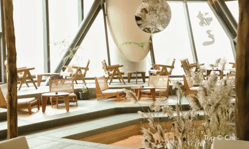 THE SYNC LOUNGE