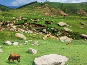 Heyeping Tourist Area