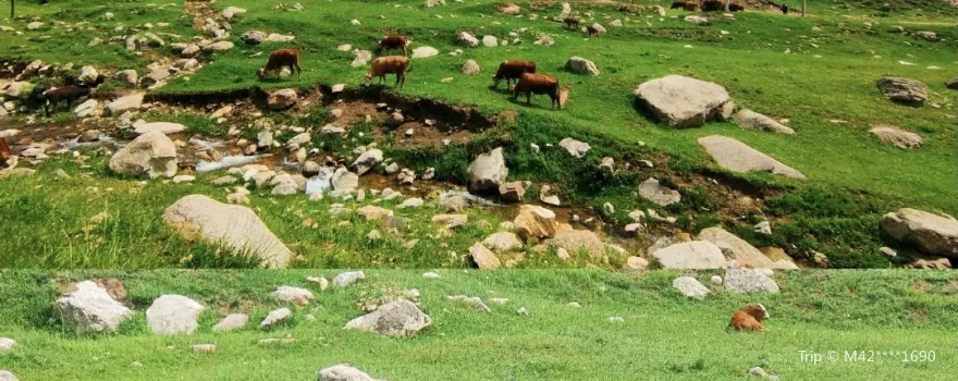 Heye Meadow