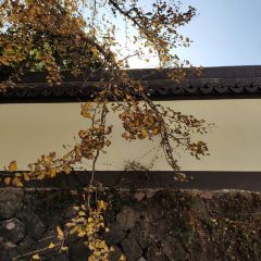 梅峰饭店 User Photo