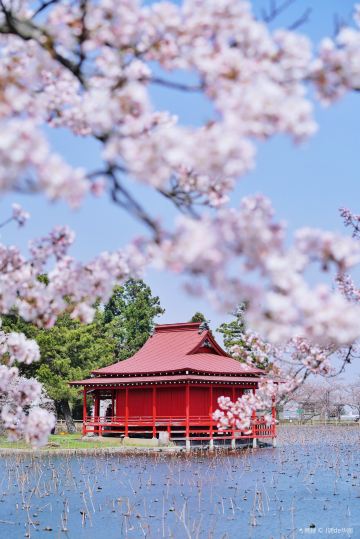 Saruka Park