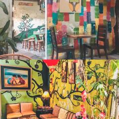 Calanthe Art Cafe User Photo