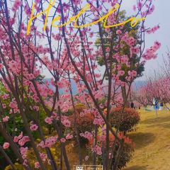 百花家园馨逸音乐餐厅 User Photo