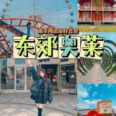 肯德基(东郊奥莱DT店) User Photo