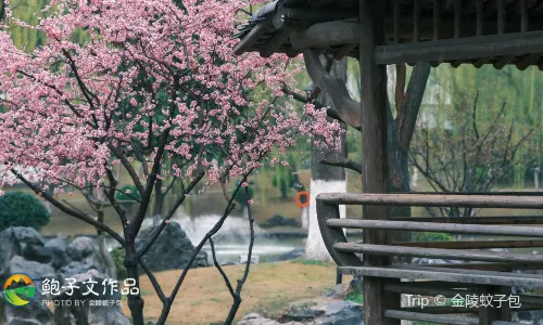 Yuyuan Garden (Nanjing)