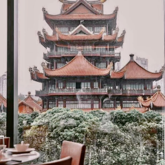 客語客家菜（臻品店）張用戶圖片