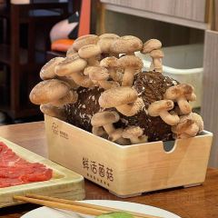 巴邑火锅(诸暨青悦城店) User Photo