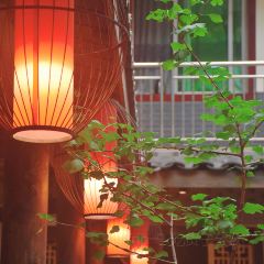 青山小厨土菜馆(青城山店) 여행 사진