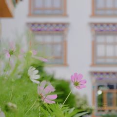 盐井加加面 User Photo