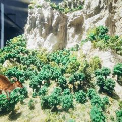 安吉自然博物院自然体验餐厅 User Photo