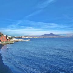 Trattoria Da Procida User Photo