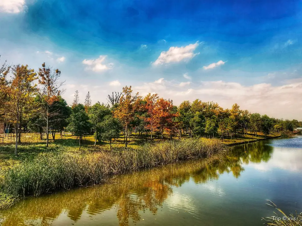 1_Binjiang Forest Park - Phase II