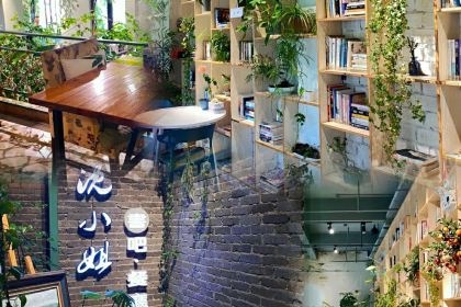 沈小姐书吧餐厅