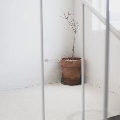 Bossa Nova coffee roasters Sokcho User Photo