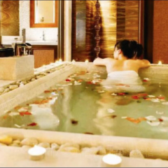 竹園中餐廳張用戶圖片