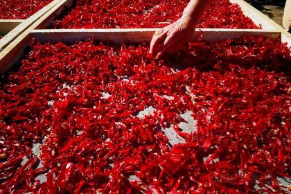 朝鲜族冷面馆(红军路店)