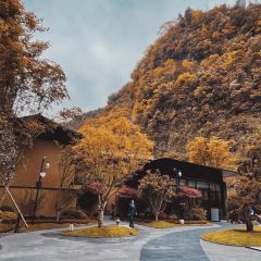 重庆朴乡金佛山度假酒店·朴乡餐厅 User Photo