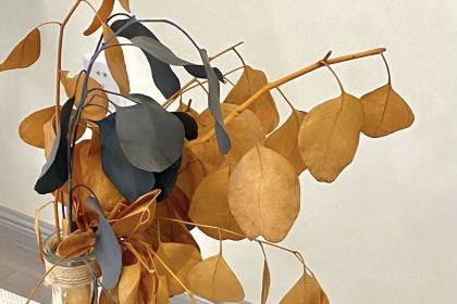 八零後BAKERY·蛋糕烘焙(八一路店)